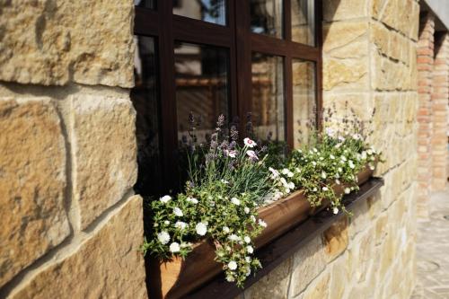a window box with flowers on a brick wall at PROSECCO RESIDENCE MARKO in Valtice