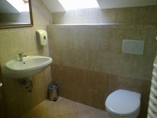 a bathroom with a sink and a toilet at Györgyey Kastély Panzió és Étterem in Tápiógyörgye