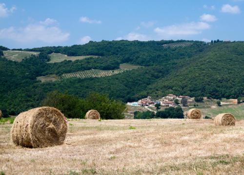 a group of hay bales in a field at Spa Resort Fonte Alla Lepre in Riparbella