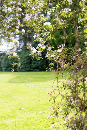 a field of green grass with pink flowers on it at Lord Haldon Country Hotel, Sure Hotel Collection by Best Western in Exeter