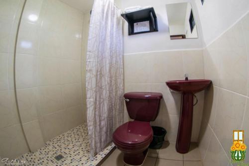a bathroom with a toilet and a shower at El Balcón de Ataco in Concepción de Ataco