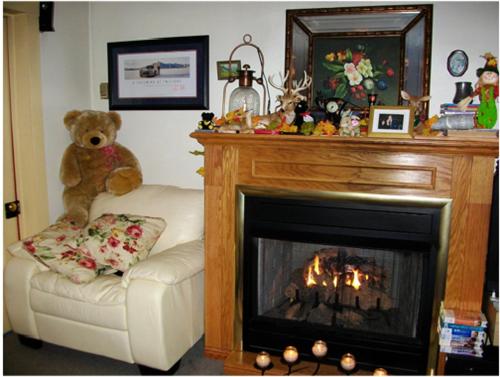 a teddy bear sitting on a chair next to a fireplace at A Meadow House in Lakeville