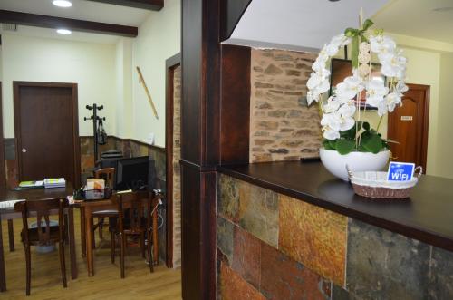 a kitchen with a counter with a vase with white flowers at Albergue del Peregrino in Arzúa