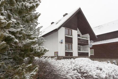 Privát Gallik during the winter