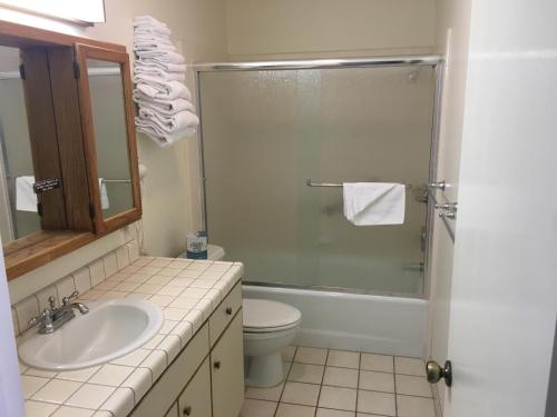 a bathroom with a shower and a toilet and a sink at Pine Acres Lodge in Pacific Grove