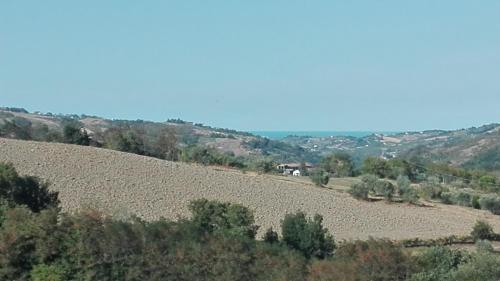 a view of a hill with trees on it at B&B RIPALTA in Sogliano al Rubicone