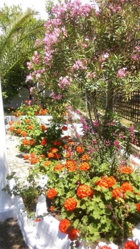 Zahrada ubytování Gorgona Rooms