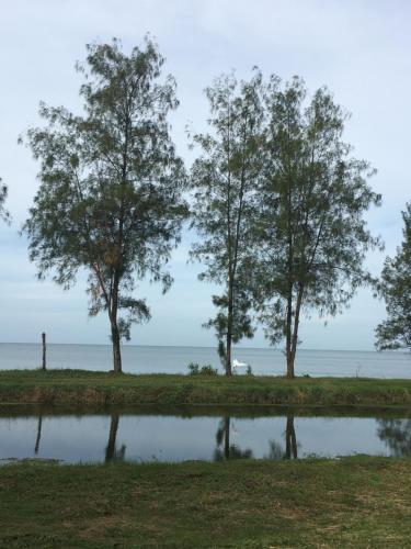a pond with trees and the ocean in the background at Sleep Soundly By The Sea in Trat