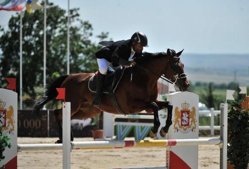 a person riding a horse jumping over an obstacle at Ambassadori Kachreti Golf Resort in Kachretʼi
