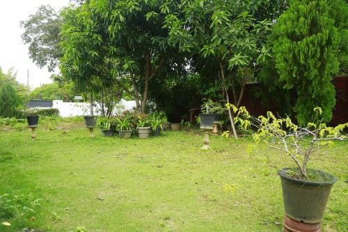 Taman di luar New Vilard