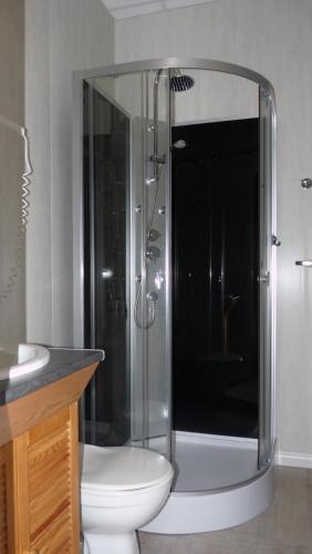 ル・モンドールにあるRésidence Le Castel Médicisのバスルーム(シャワー、トイレ、シンク付)