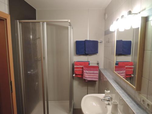 a bathroom with a shower and a sink and a mirror at Haus Pfeiffenberger in Eben im Pongau