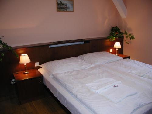 een groot wit bed in een slaapkamer met 2 lampen bij Zámek Havířov in Havířov