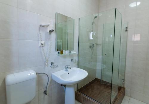 a bathroom with a shower and a sink and a toilet at Hotel Magnus Galati in Galaţi
