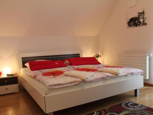 ヴィスマールにあるSplendid Apartment in Wismar with Balconyのベッドルーム1室(大型ベッド1台、赤い枕付)
