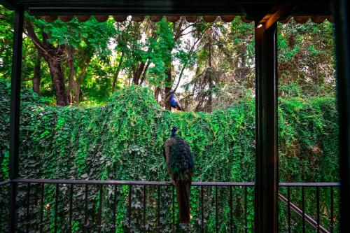 Legado Alcazar Hotel photo 65