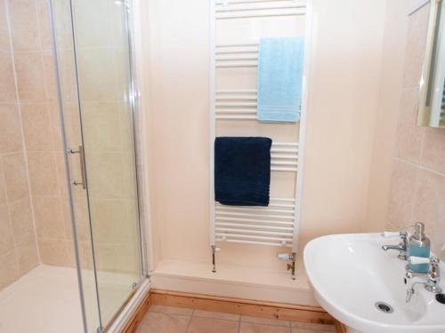a bathroom with a shower and a sink at Mallows Byre Yetminster in Sherborne