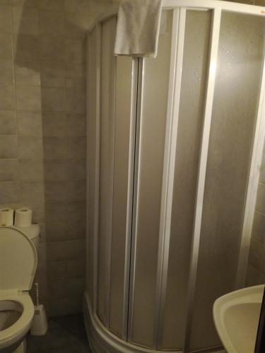 a bathroom with a shower with a toilet and a sink at Hotel Berounka in Liblín