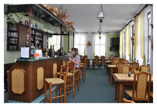 Hosté ubytování Penzion Severák