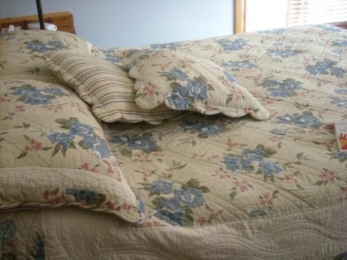 a bed with two pillows on top of it at Auberge Au Soleil Levant in Piopolis