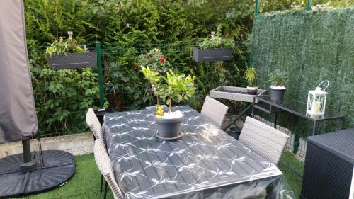 une table et des chaises avec des plantes dans l'établissement La Vénitienne, à Colmar