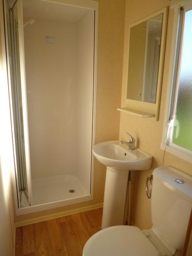 W łazience znajduje się toaleta, umywalka i prysznic. w obiekcie Chalet w mieście Wilbertoord