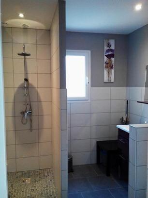 une salle de bain avec douche et lavabo dans l'établissement GITE DE L'OISILLIERE, à Huisseau-sur-Cosson