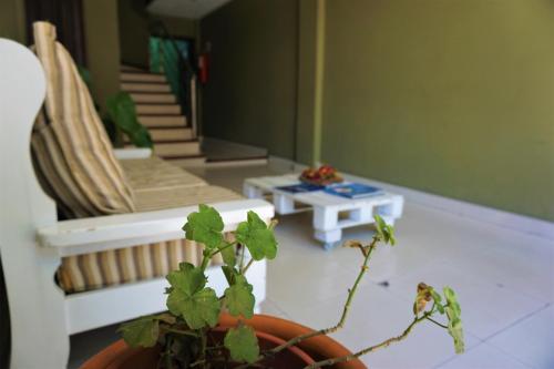 a room with a couch and a table and a plant at Hostal Alto Ayre Salta in Salta