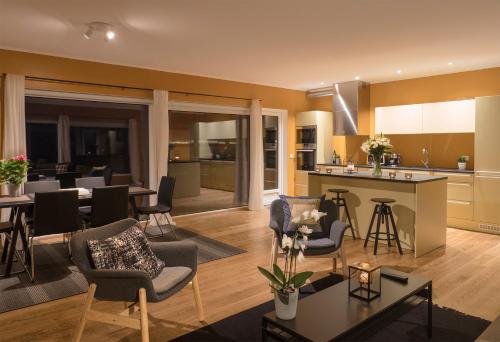 an open living room with a kitchen and a living room at Hrifunes Nature Park in Hrífunes 