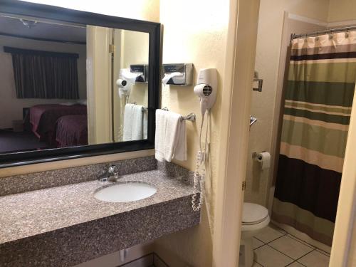 a bathroom with a sink and a mirror and a toilet at Flamingo Inn in Elk City