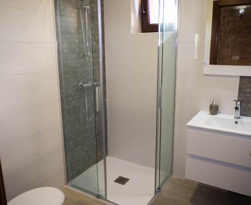 a bathroom with a shower and a toilet and a sink at Apartamentos La Fabrica in Villaluenga de la Vega