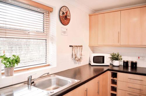 a kitchen with a sink and a microwave at Blackwater Meadow Apartment in Ellesmere