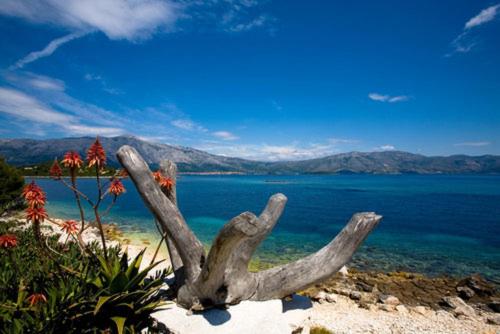 a statue of antlers on the shore of a lake at Dragan's Den Hostel in Korčula