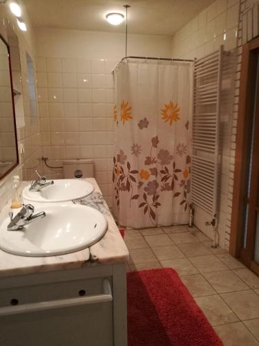 a bathroom with a white sink and a shower at Villa Leone in Maria Rain