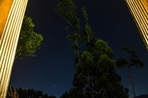 a starry night with a tree in the foreground at Casa Bambuco Filandia in Filandia