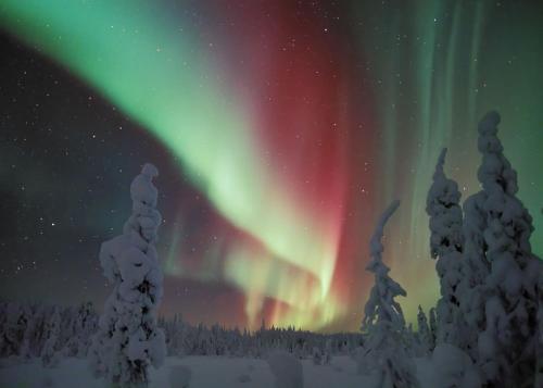an aurora in the sky with trees and snow at Holiday Home Byvägen 38 in Nattavaara