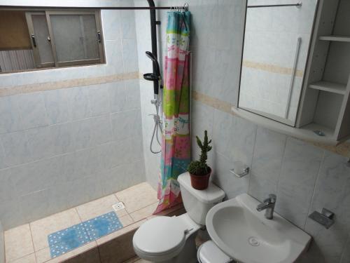 a bathroom with a toilet and a sink and a shower at Cabañas Akiko in Hanga Roa