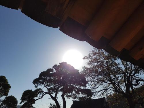 a view of the sun shining through some trees at Jukheon Traditional House in Andong