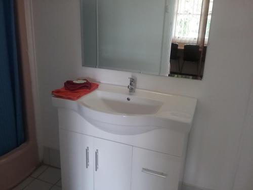 W łazience znajduje się biała umywalka i lustro. w obiekcie Murrurundi Motel w mieście Murrurundi
