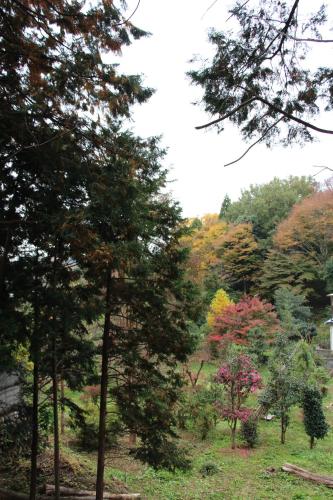 Naturlandschaft in der Nähe des Ryokans
