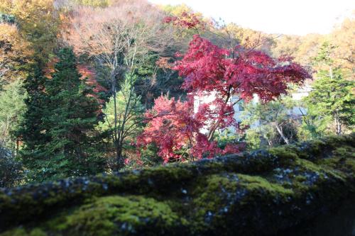 Naturlandschaft in der Nähe des Ryokans