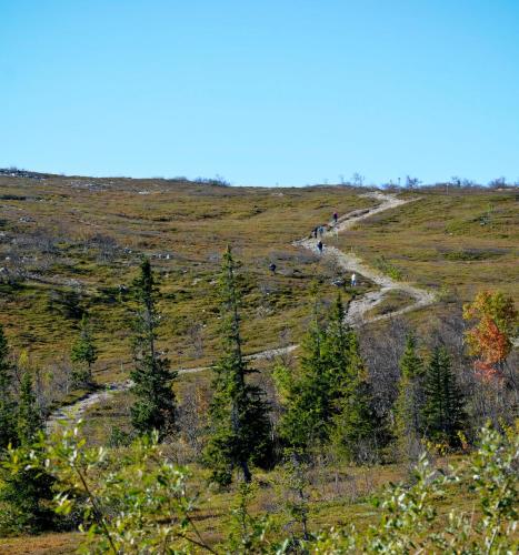 a group of people walking down a trail on a hill at Storhogna Högfjällshotell & Spa in Storhågna