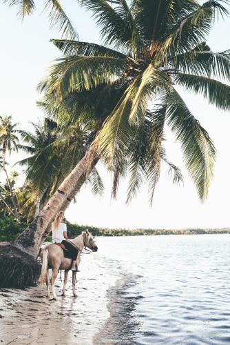 Landskap semula jadi dekat dengan resort