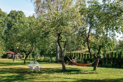 a hammock in the middle of a park with trees at Park Apartments in Valmiera