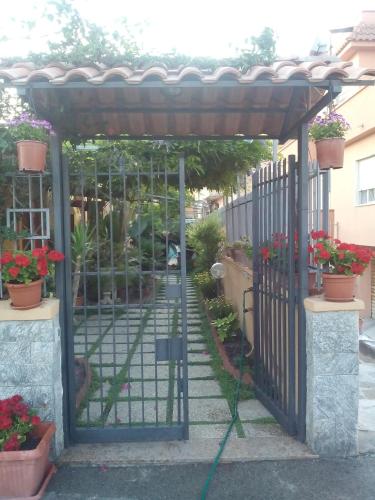 Domus Felix – Photos 3