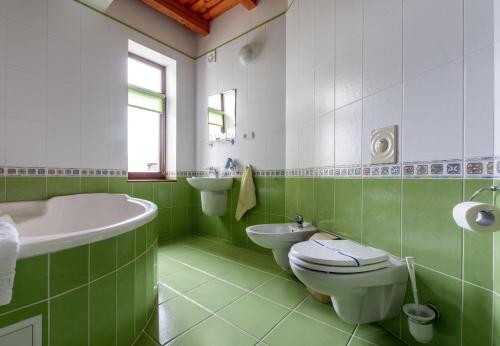 a green and white bathroom with a toilet and sink at Letuchiy Gollandets in Uzhhorod