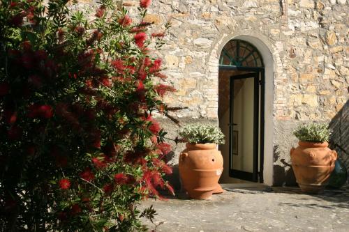 Φωτογραφία από το άλμπουμ του Podere I Massoni σε Monterotondo