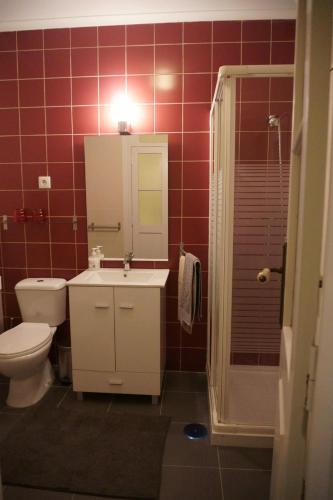a bathroom with a toilet and a sink and a shower at Baixa Apartamento in Bragança