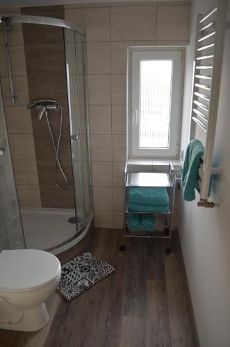 baño con ducha y aseo y ventana en Studio nad Jeziorem, en Poznan