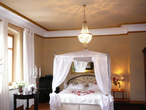ein Schlafzimmer mit einem weißen Bett mit Baldachin in der Unterkunft Hotel-Park-Residenz in Aschersleben